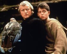 Ladyhawke Featuring Matthew Broderick, Rutger Hauer 24x36 inch Poster picture