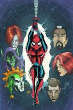 SPIDER-GIRL - VOLUME 8: DUTY CALLS (MARVEL ADVENTURES By Tom Defalco *Excellent* picture