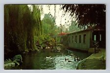 Buena Park CA-California, Knotts Berry Farm, Jungle Island Vintage Postcard picture