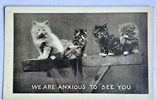Anxious To See You Cats. Black And White Vintage Cat Postcard. Kittens. picture