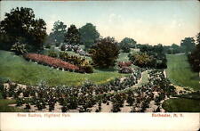 Rose Bushes Highland Park New York ~ c1905 UDB vintage postcard picture