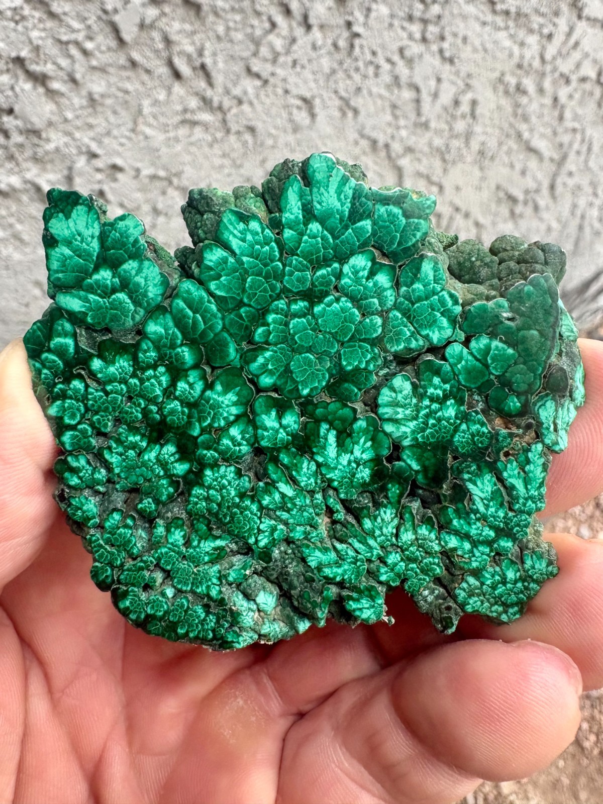 Polished Malachite Polished Slab Display Specimen 111.3 Grams Polished Malachite Polished Slab Display Specimen 111.3 Grams
