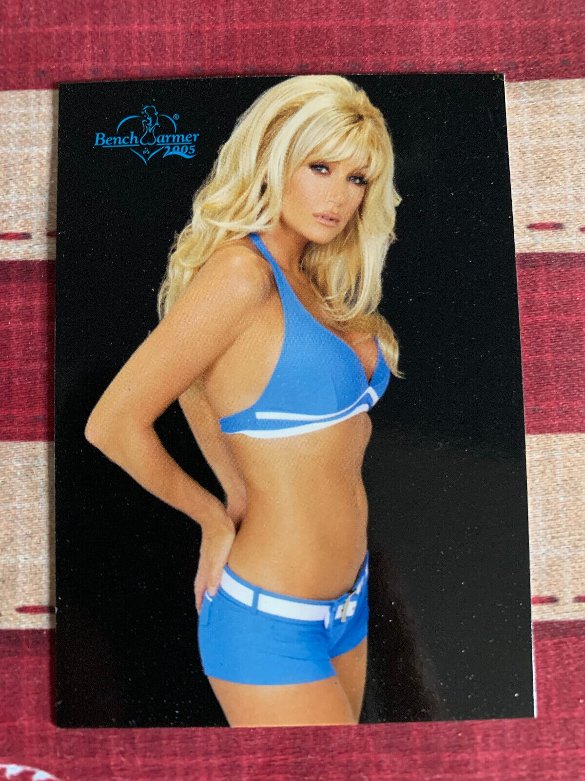 BENCH WARMER 2005 SERIES 1  Pick Your Card Playboy Models, WWE & More