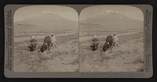 Photo:Chimborazo Ecuador 1900s Ice-Crested Mountain Cattle Road Stereoview Photo:Chimborazo Ecuador 1900s Ice-Crested Mountain Cattle Road Stereoview