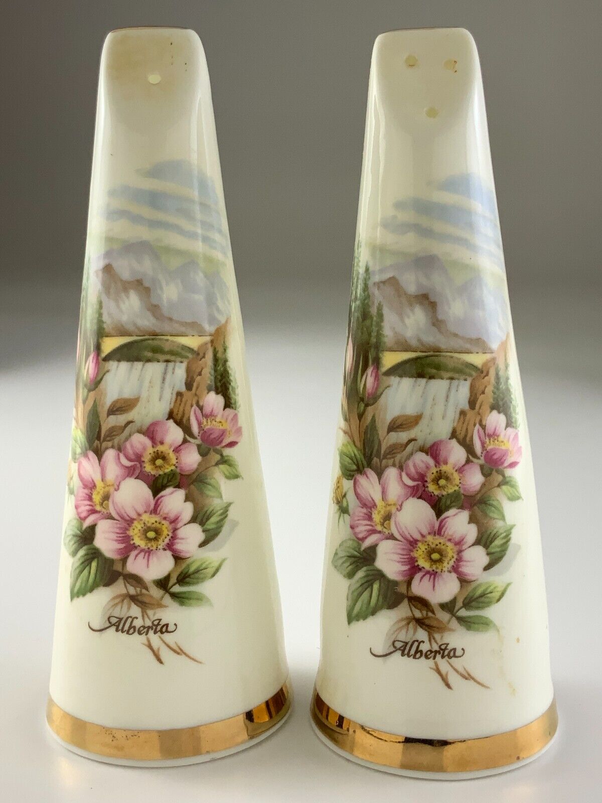 Tall Salt and Pepper Shakers Elegant Sandford England Pink Floral Waterfall Z383