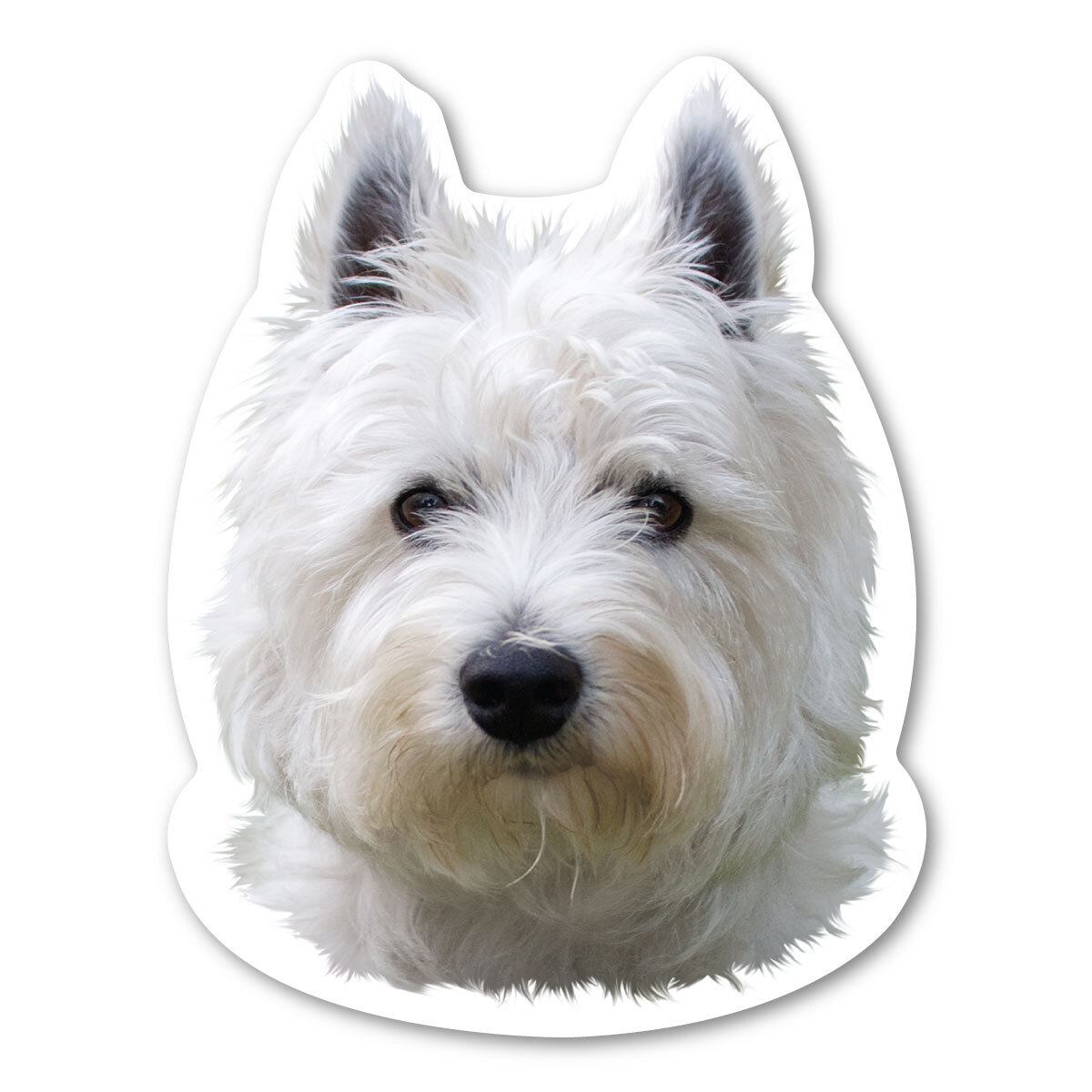 West Highland White Terrier Magnet West Highland White Terrier Magnet