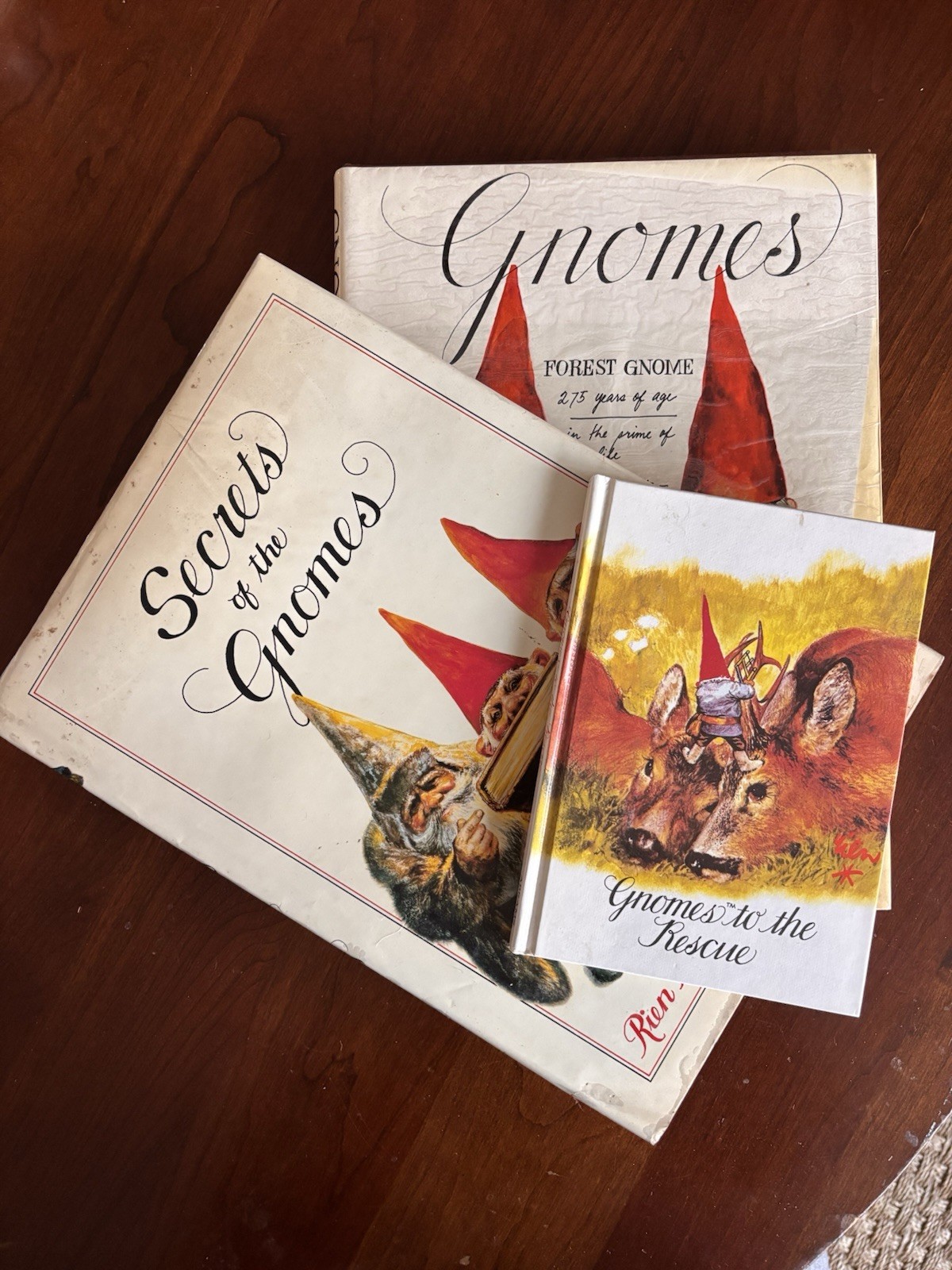3 Harry N. Abrams Fantasy Gnomes Book Lot: Secrets & Rescue 3 Harry N. Abrams Fantasy Gnomes Book Lot: Secrets & Rescue