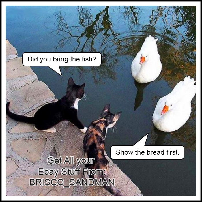 Fridge Fun Refrigerator Magnet "DUCK DEAL" Cats dealing w/ ducks Funny Animals