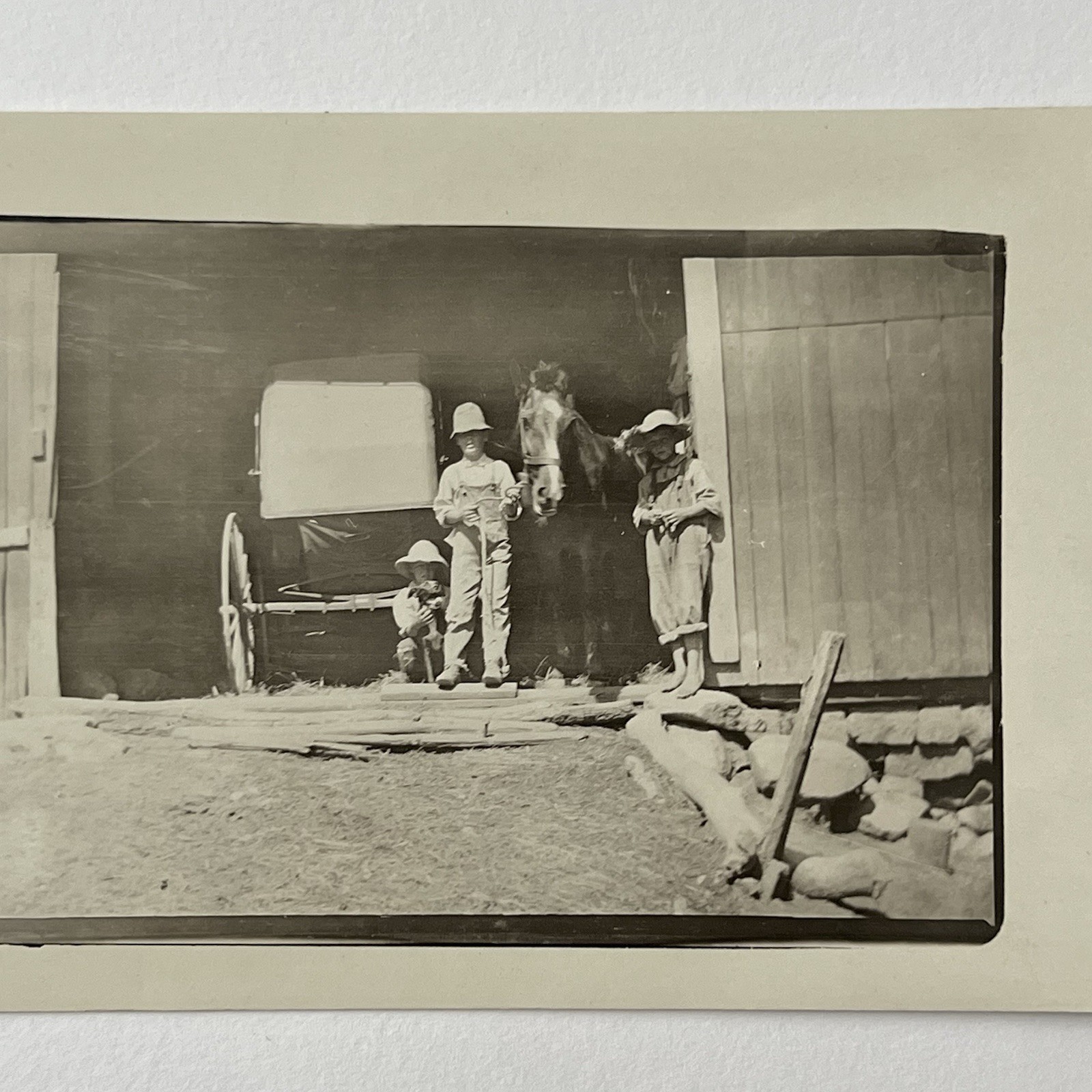 Antique RPPC Real Photograph Postcard Farm Horse Dog Note On Back Everyday Life