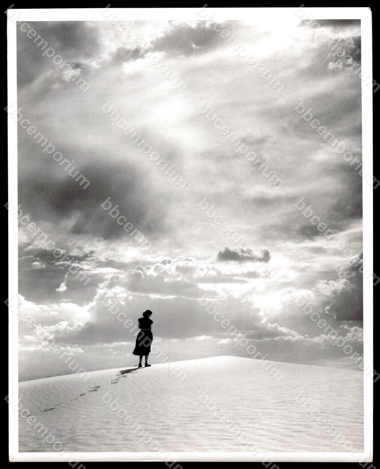 White Sands Monument, NM U.S. Scenes 8" x 10" Brown Brothers Type 1 Photo F922 White Sands Monument, NM U.S. Scenes 8" x 10" Brown Brothers Type 1 Photo F922