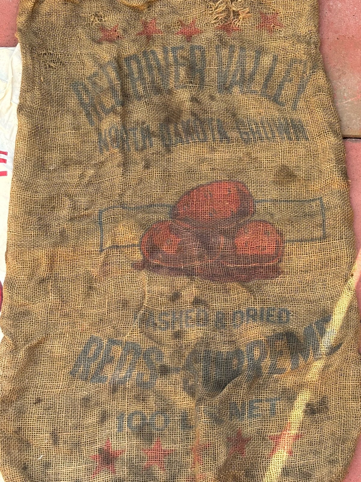 VTG Red River Valley Northern Grown Potatoes 100 Lb Burlap Bag
