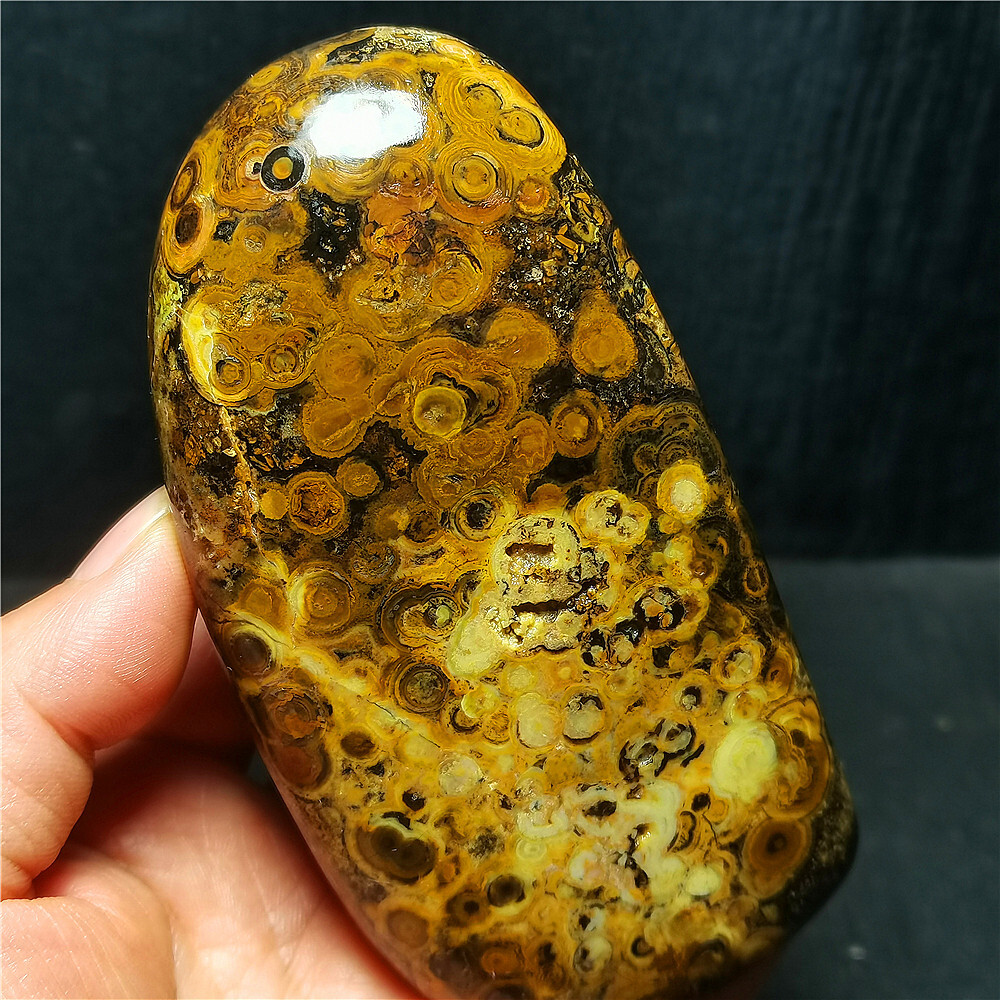 Rare 429G Natural Inner Mongolia Gobi Eye Agate Geode Collection Healing WYY1468