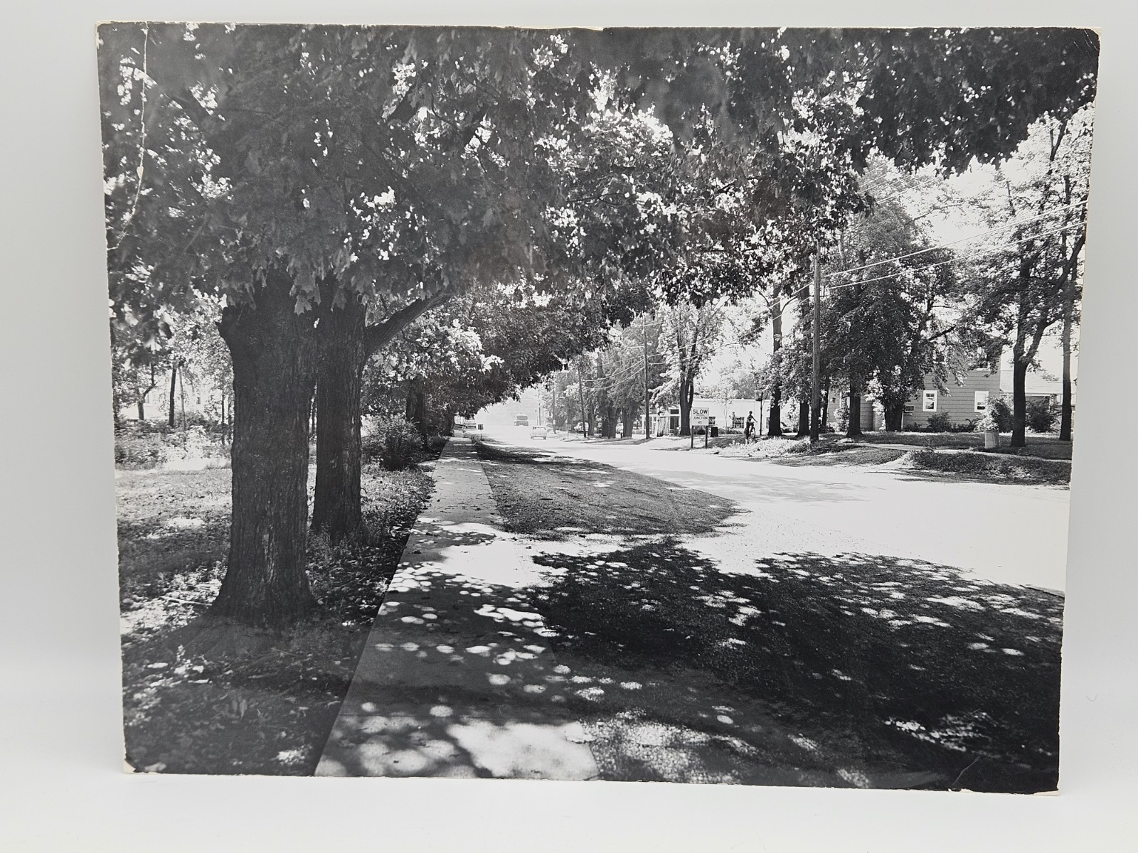 6 Vintage H.L. Mole Mundelein IL Photos 1950s Mounted Black & White Prints 14x11
