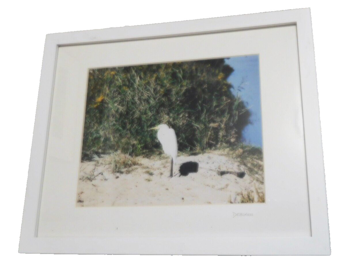 ORIGINAL PHOTOGRAPH - "EGRET"- IN THE SAND BY THE SEA - MATTED & FRAMED ORIGINAL PHOTOGRAPH - "EGRET"- IN THE SAND BY THE SEA - MATTED & FRAMED