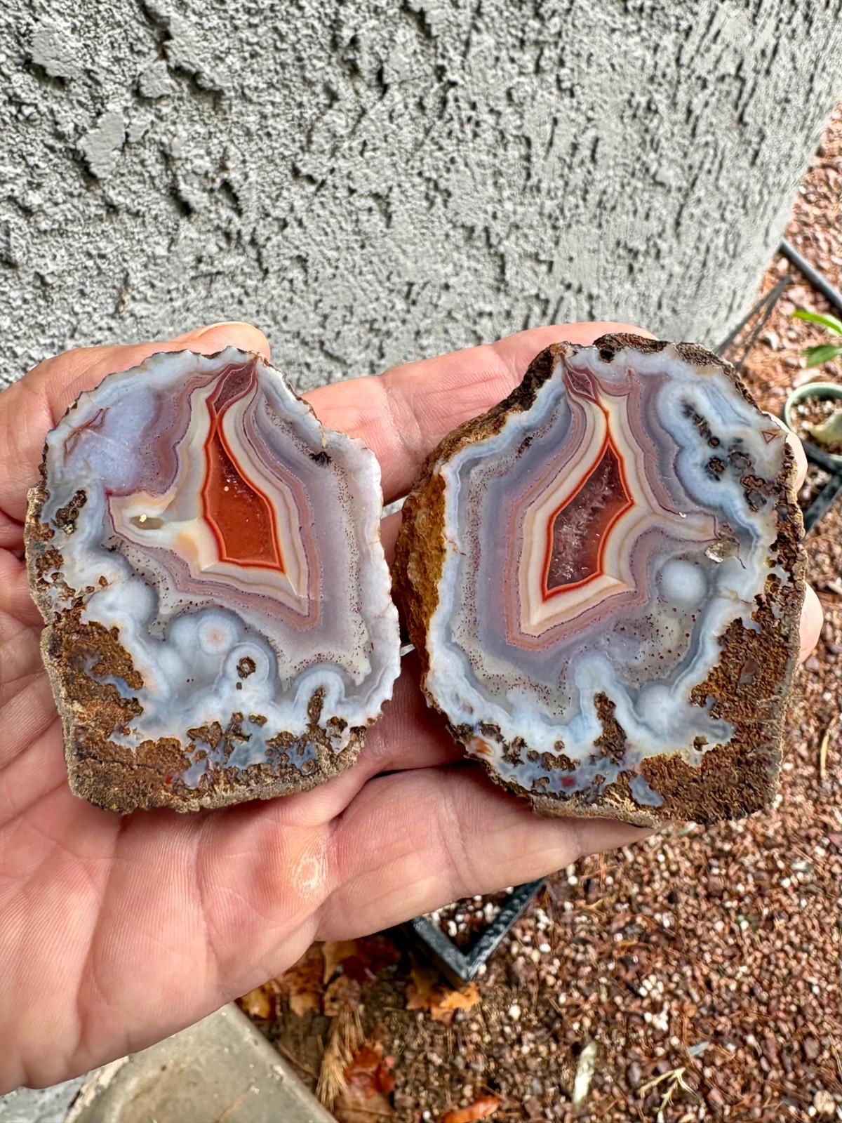 Large Polished Matching Pair Old Stock Malawi Agate Half Nodules - See Pictures Large Polished Matching Pair Old Stock Malawi Agate Half Nodules - See Pictures