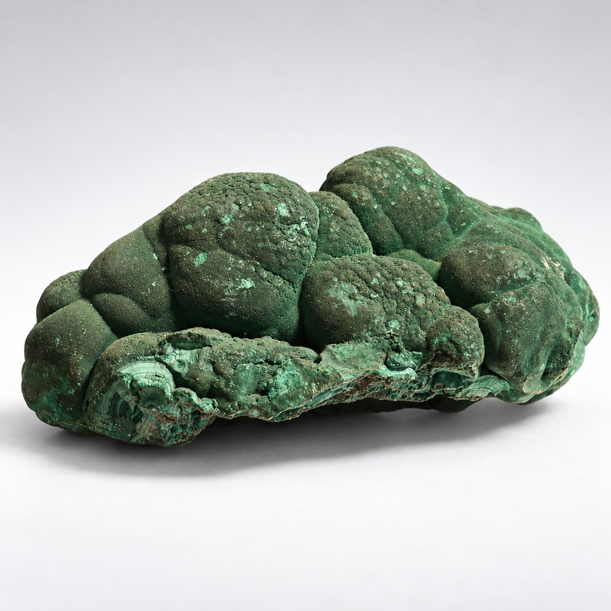 1.72 LB Natural Botryoidal Malachite Congo TopRock Provenance Large Specimen 1.72 LB Natural Botryoidal Malachite Congo TopRock Provenance Large Specimen