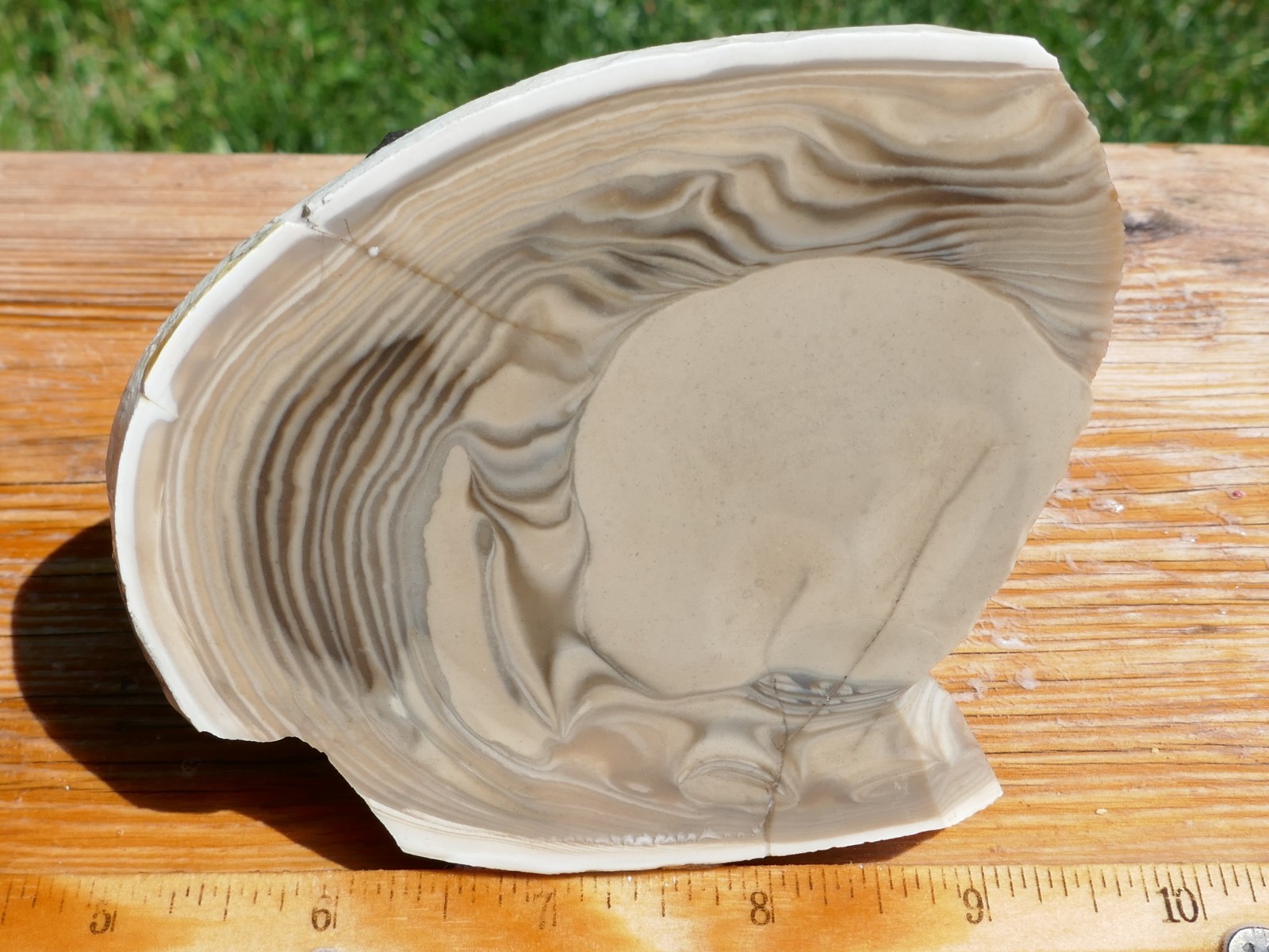 TCR Polish Flint*Rough Slab 133grams – Unique Natural Orb Pattern | Poland TCR Polish Flint*Rough Slab 133grams – Unique Natural Orb Pattern | Poland