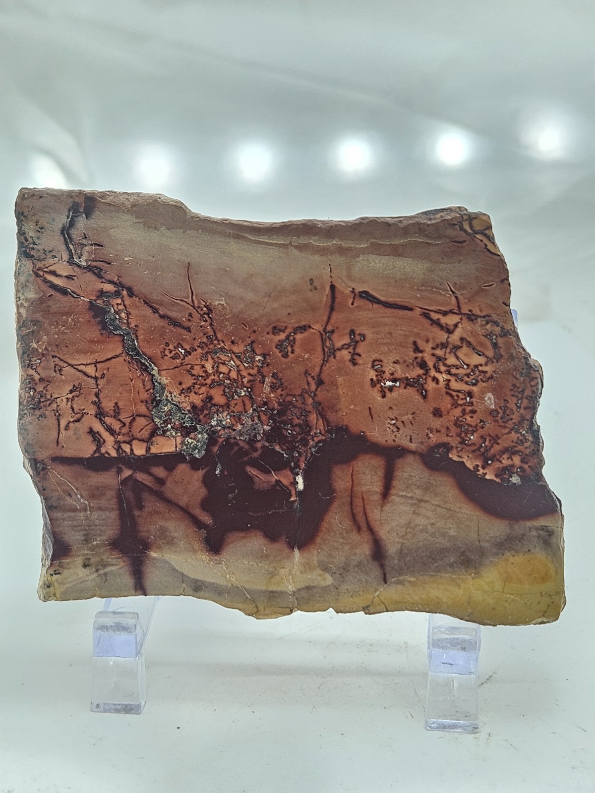 Genuine Australian Mookaite Polished Slice - Earthy Abstract Pattern Stone Genuine Australian Mookaite Polished Slice - Earthy Abstract Pattern Stone