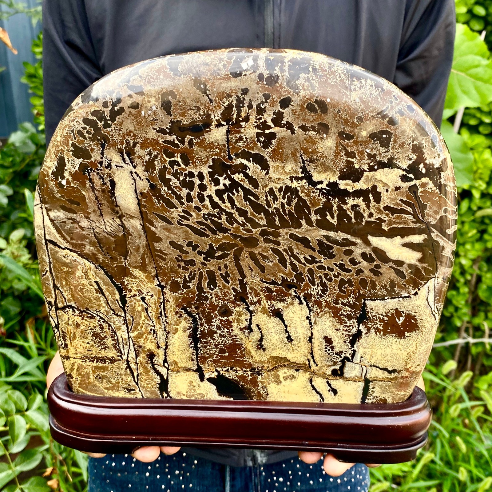 8.15LB Beautiful Natural Chinese Dendritic Limestone Picture Stone Guohua-Rare 8.15LB Beautiful Natural Chinese Dendritic Limestone Picture Stone Guohua-Rare