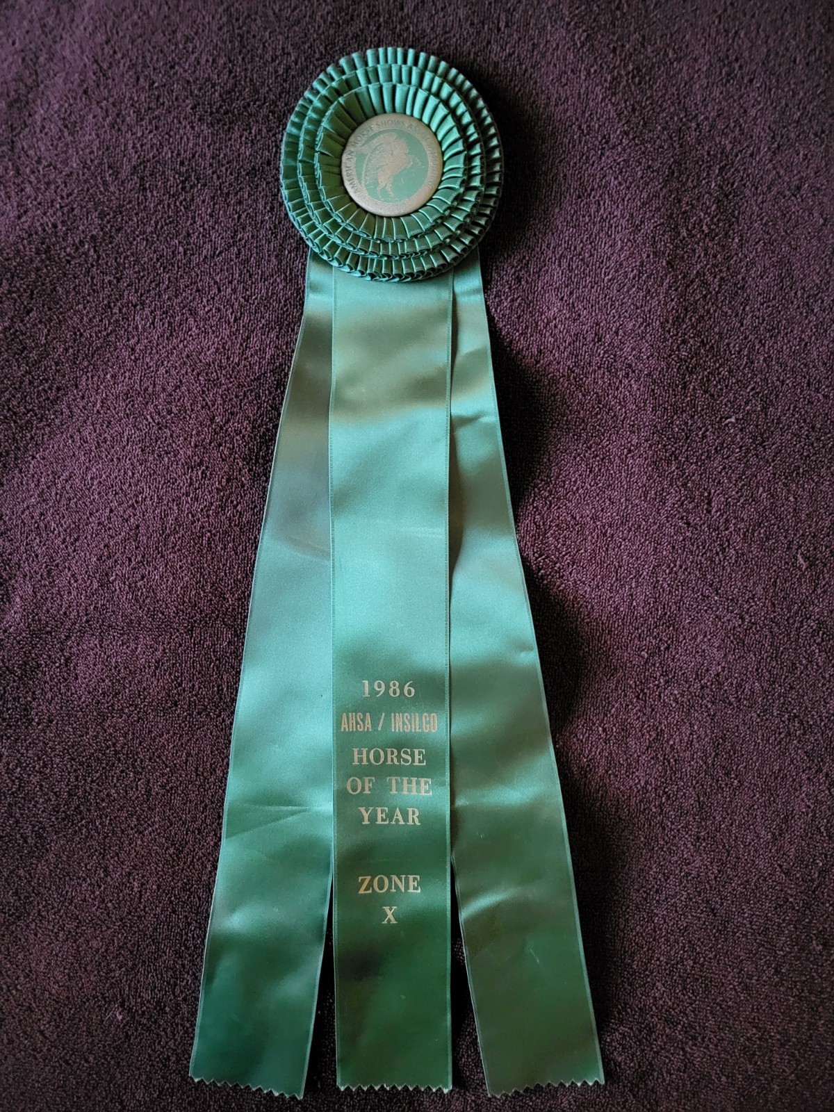 HORSE OF THE YEAR ~ AHSA INSILCO 1986 Horse Show Ribbon Award Equestrian ZONE X