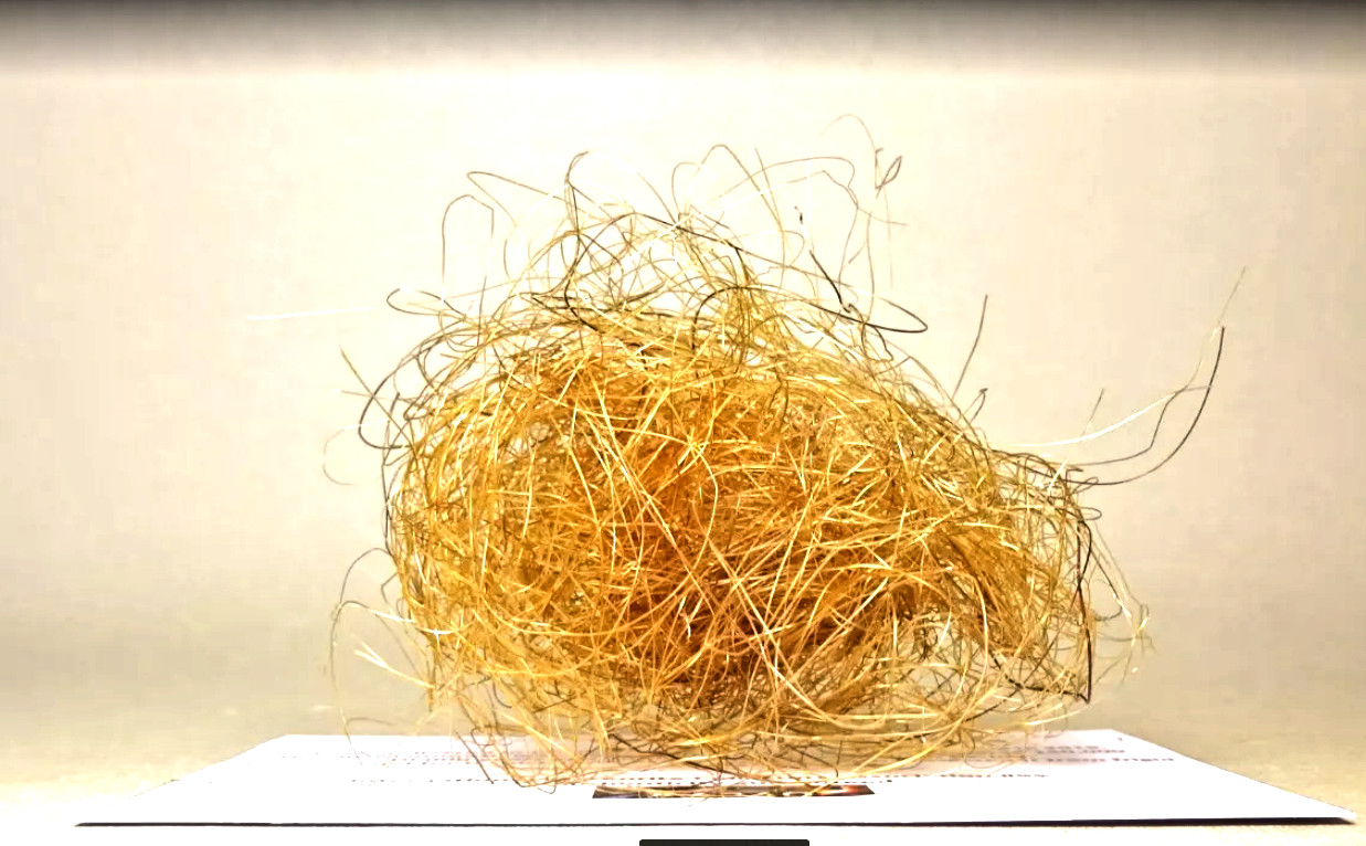 1 GRAM WOOLLY MAMMOTH REAL HAIR WOOLY RARE LARGE WOOL FUR MASTODON EXTINCT NICE 1 GRAM WOOLLY MAMMOTH REAL HAIR WOOLY RARE LARGE WOOL FUR MASTODON EXTINCT NICE