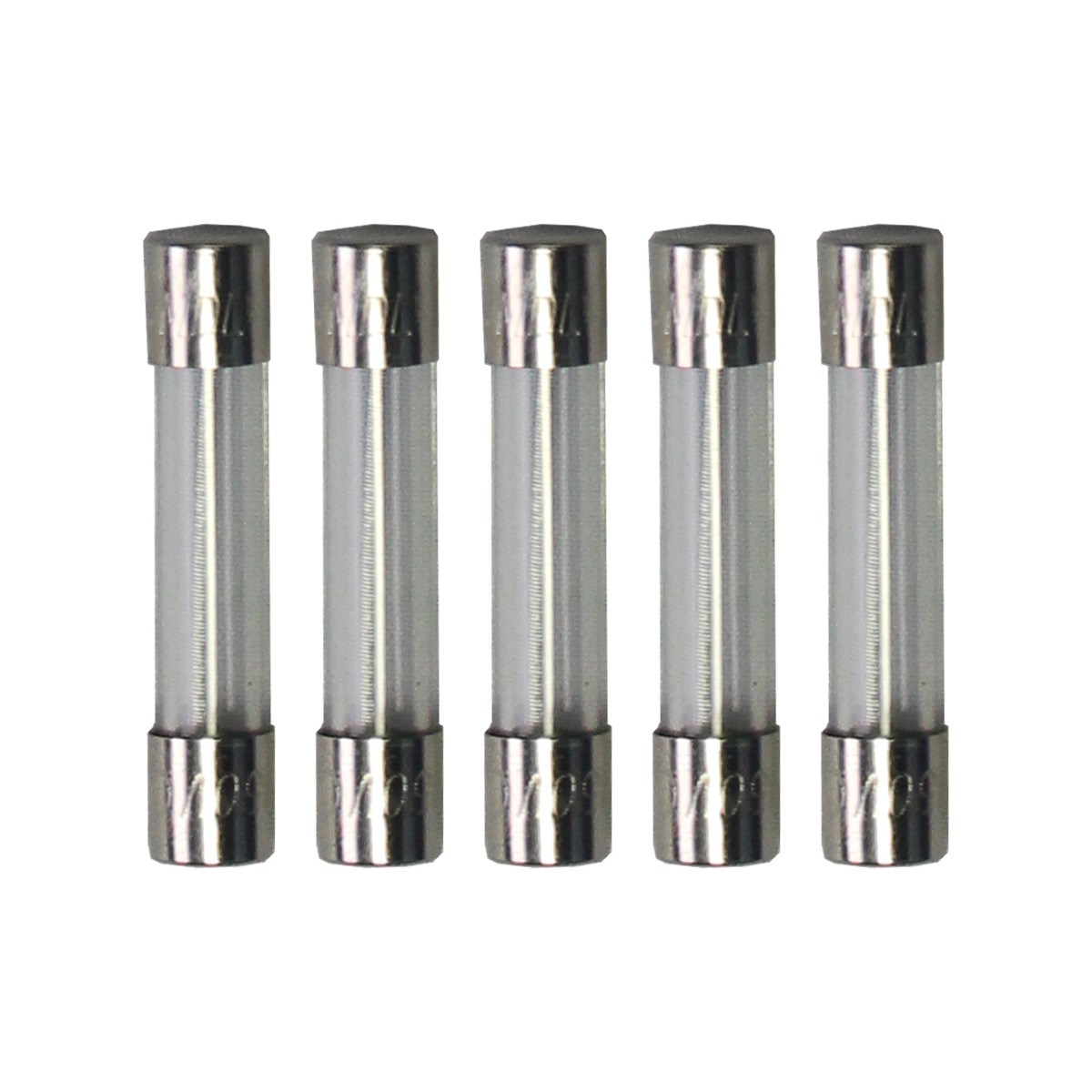 Slow Blow Fuse -1/4 Amp - MDL, 250V - Set of 5