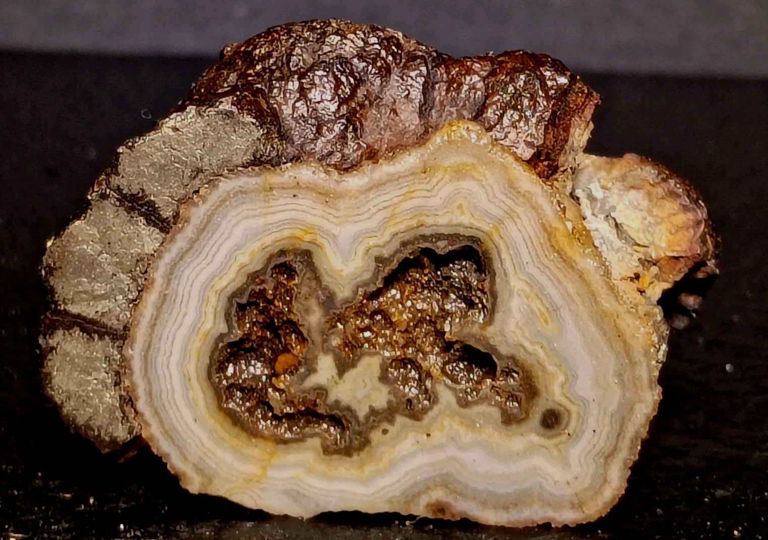 52g Agatized Stromatolite with Druzy Quartz & Marcasite/Hematite 52g Agatized Stromatolite with Druzy Quartz & Marcasite/Hematite