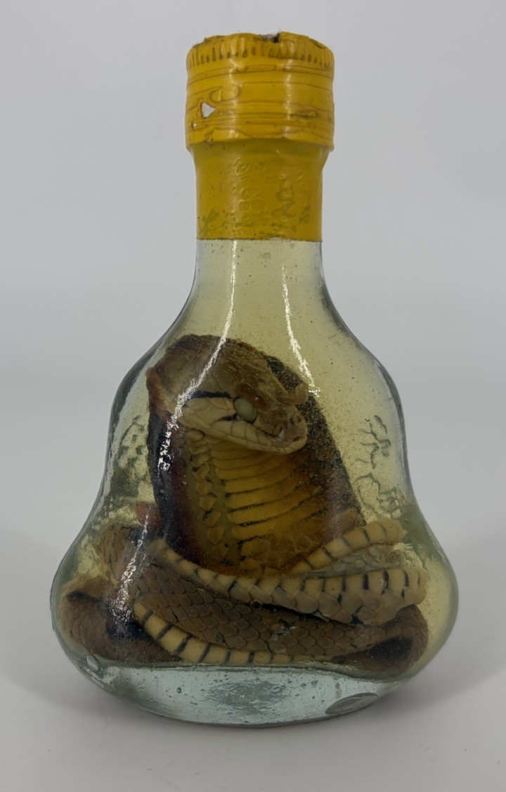 Snake Alcohol Snake Wine Antique Bottle Asia Curiosity Cabinet 10cm Snake Alcohol Snake Wine Antique Bottle Asia Curiosity Cabinet 10cm
