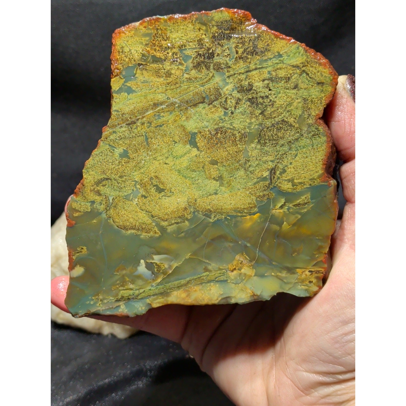 Opalized Multicolored w/ Incusions Specimen (1lb 6oz) Opalized Multicolored w/ Incusions Specimen (1lb 6oz)