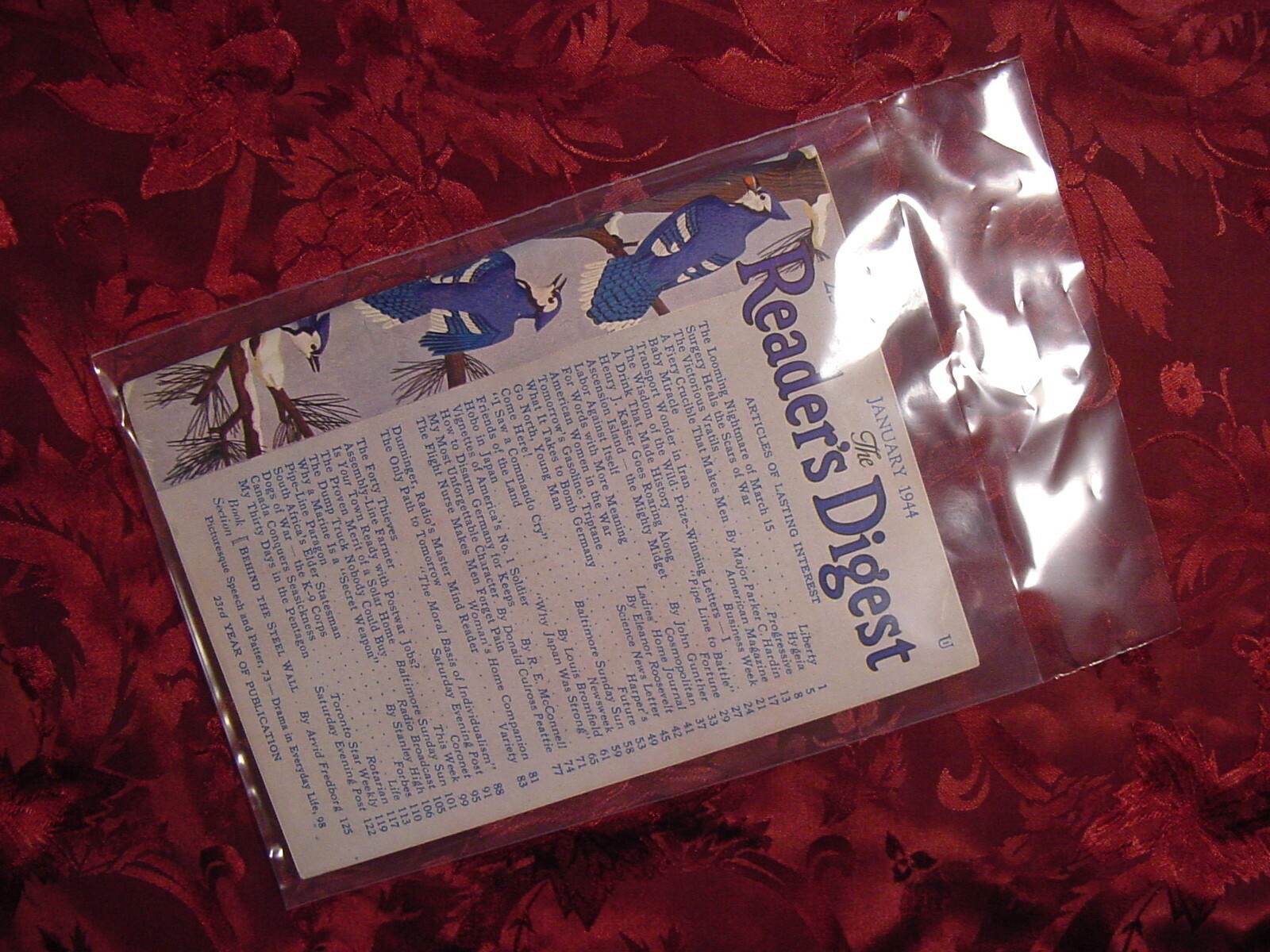 20 magazine storage sleeves bags Digest size Polyethylene 