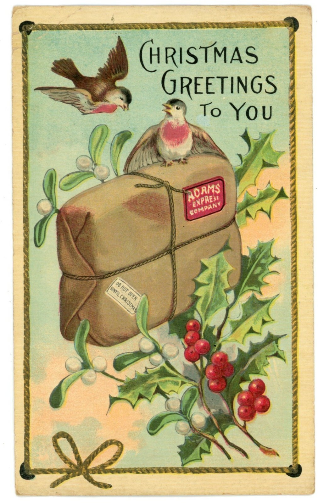 Christmas Birds Adams Express Co Package Divided Back Postcard 1912 Unused