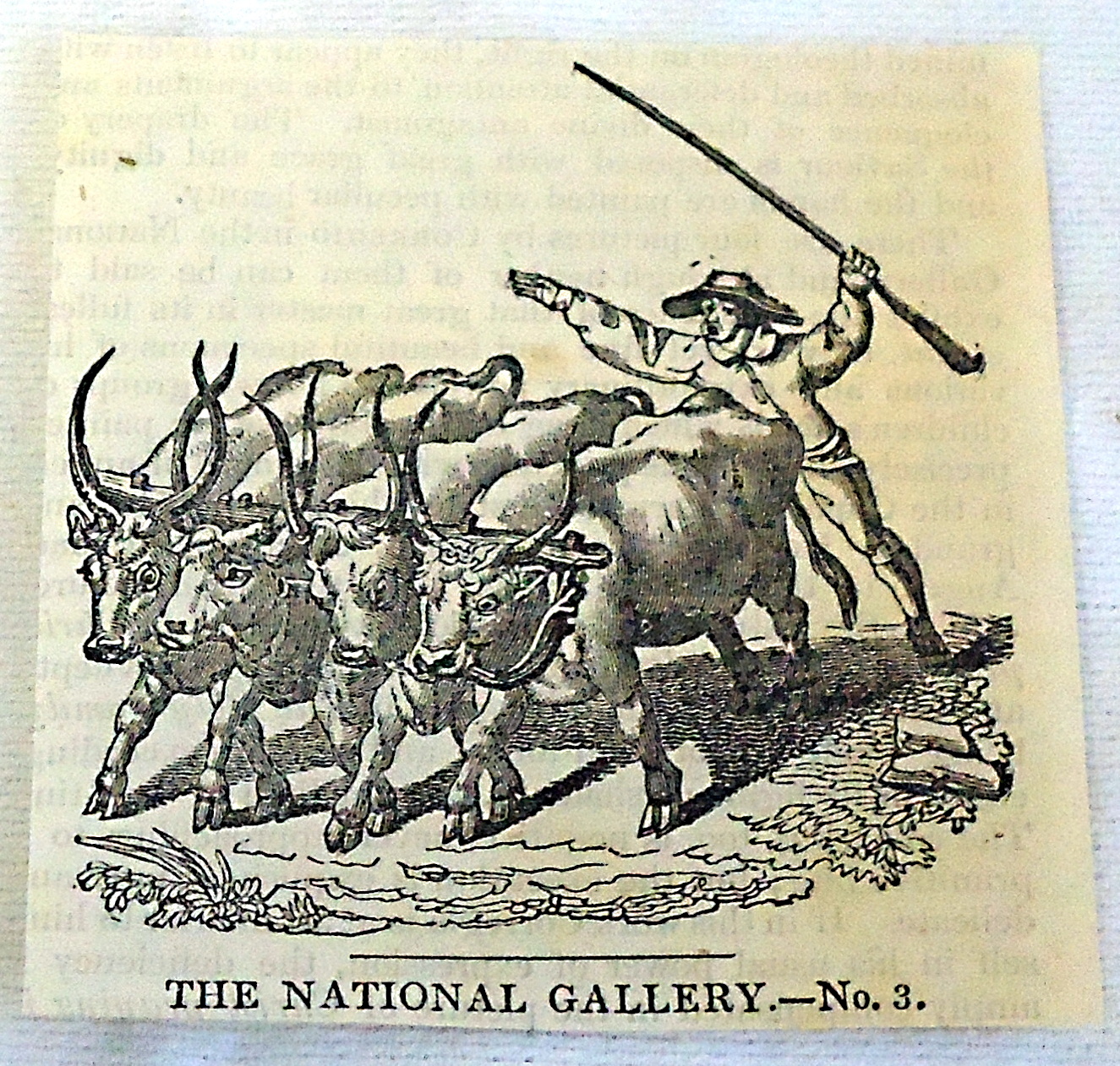 1832 small magazine engraving ~ DRIVING FOUR OXEN 1832 small magazine engraving ~ DRIVING FOUR OXEN
