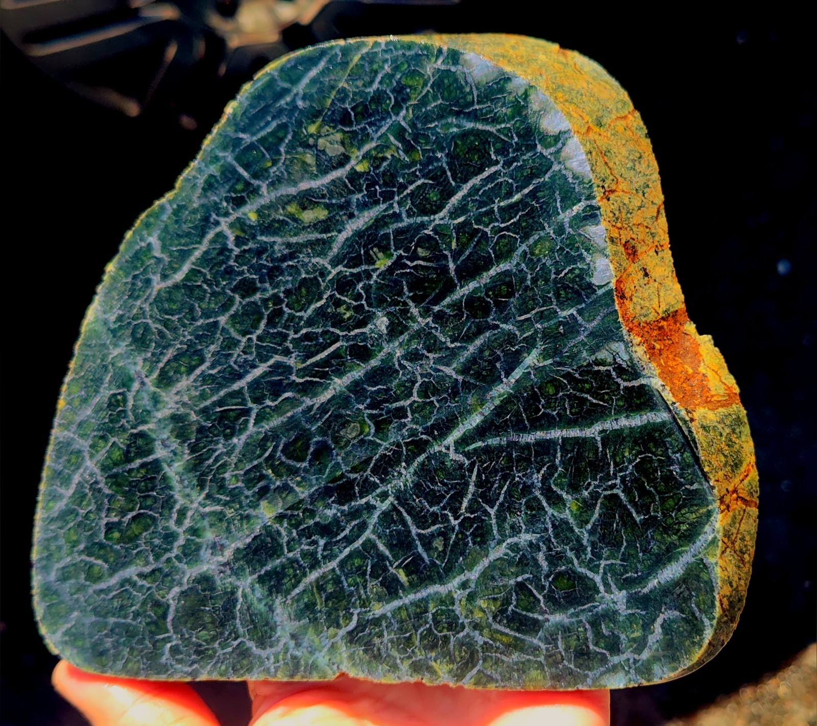 rawk11: 1.5LB Olivine Peridot Lg. slab-Olivine & Silver Magnetite Webs-WA State rawk11: 1.5LB Olivine Peridot Lg. slab-Olivine & Silver Magnetite Webs-WA State