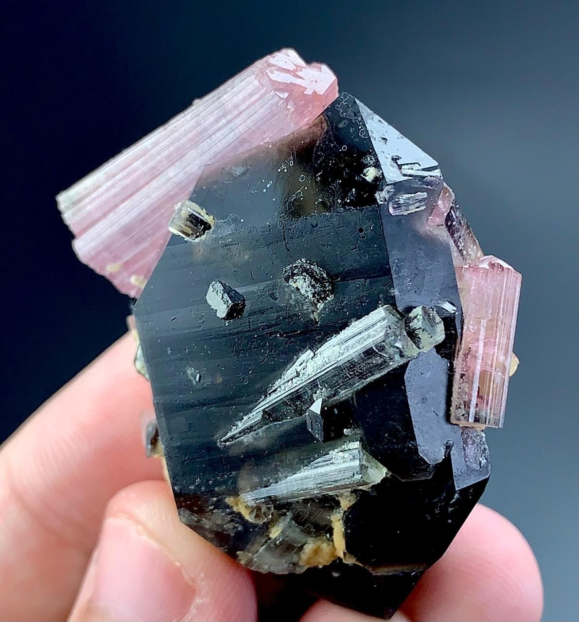 186 Carat Pink Tourmaline Crystal Specimen From Afghanistan 186 Carat Pink Tourmaline Crystal Specimen From Afghanistan