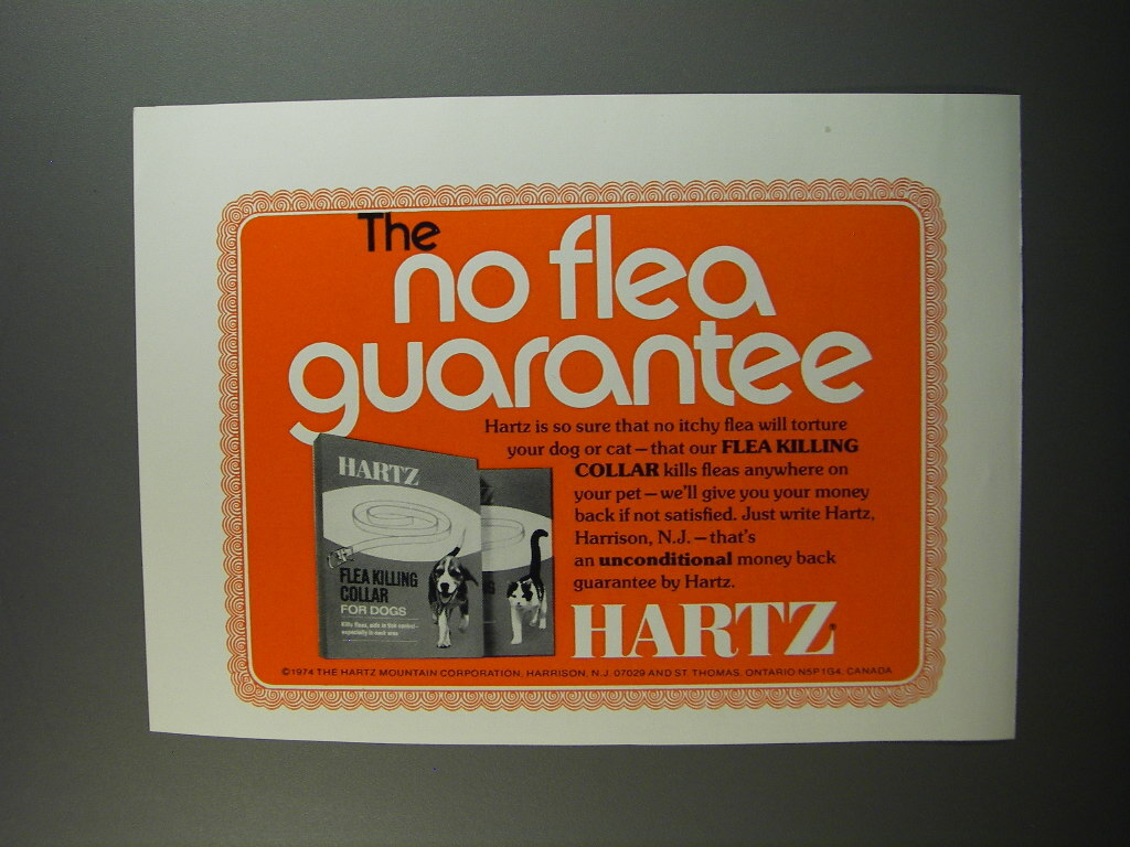 1974 Hartz Flea Killing Collar Ad - The no flea guarantee