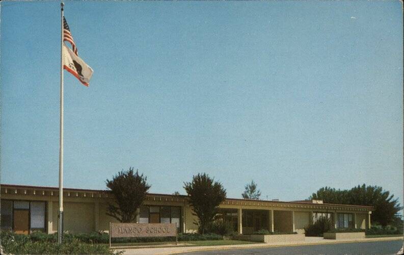 Sunnyvale, California CA Mango School Chrome Original Vintage Postcard