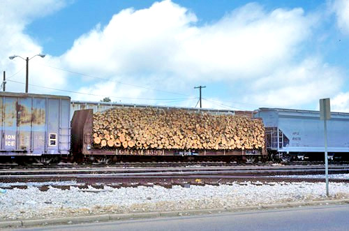 GM&O 3599 @ JACKSON, MISS_MAY 9, 1990 ORIGINAL TRAIN SLIDE GM&O 3599 @ JACKSON, MISS_MAY 9, 1990 ORIGINAL TRAIN SLIDE
