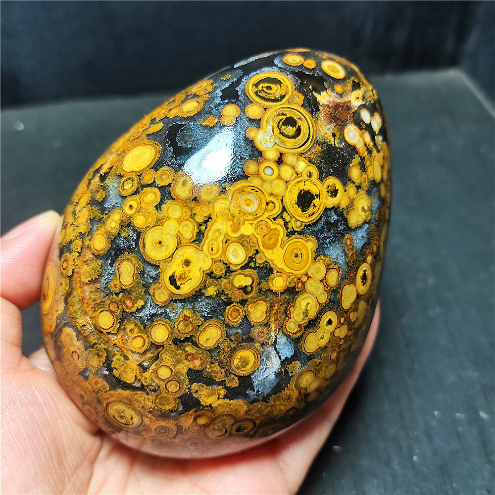 Rare 773G Natural Inner Mongolia Gobi Eye Agate Geode Collection Healing WD1460 Rare 773G Natural Inner Mongolia Gobi Eye Agate Geode Collection Healing WD1460