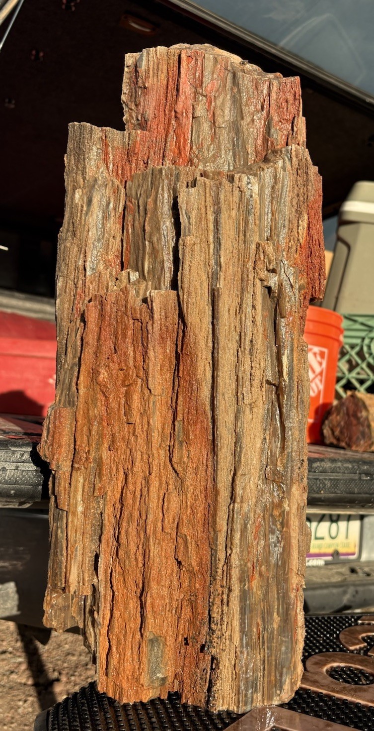 ☘️RR⛏️: Druzy Agate Replaced Arizona Petrified Wood Log, 20” 38lbs 🌈