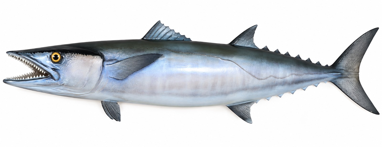 Large 40" Barracuda Fish Wall Mount Replica Nautical Coastal Fishing Decor Large 40" Barracuda Fish Wall Mount Replica Nautical Coastal Fishing Decor
