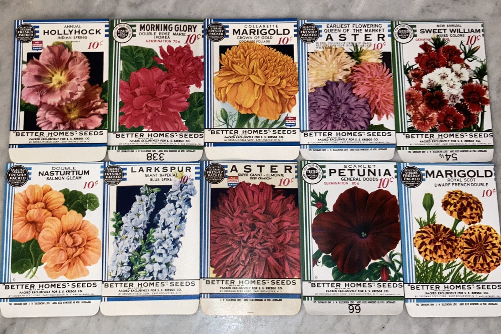 Lot of 10 Vintage 1934 "Better Homes" Flower Seed Packets Crosman Seed Co. NOS