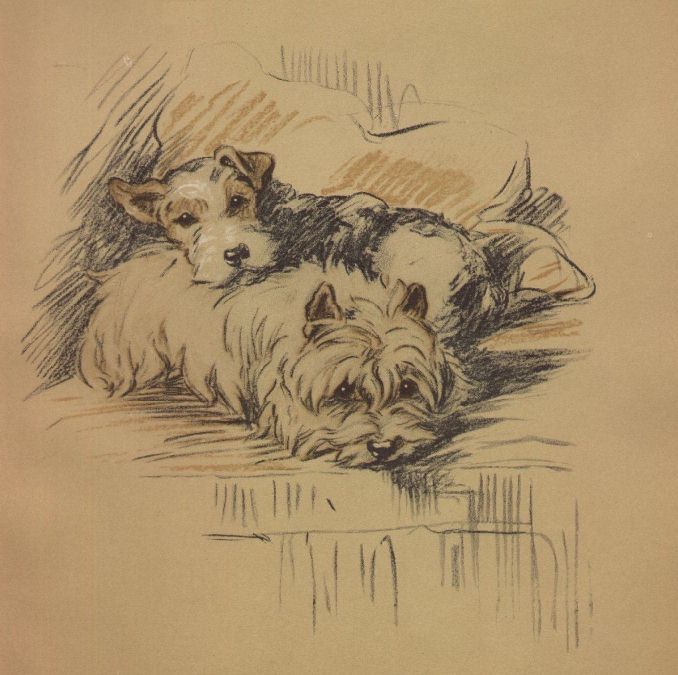 West Highland White Terrier - CUSTOM MATTED - Lucy Dawson Dog Art Print NEW West Highland White Terrier - CUSTOM MATTED - Lucy Dawson Dog Art Print NEW
