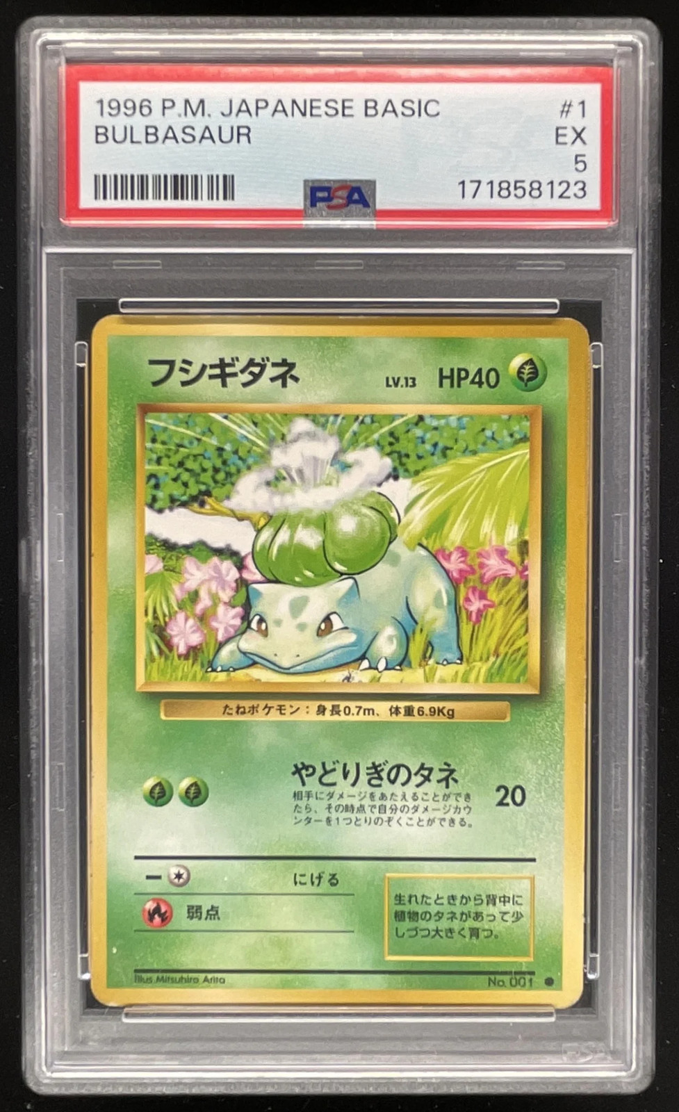 1996 Pokemon Japanese Expansion Pack #001 Bulbasaur Common PSA 5 1996 Pokemon Japanese Expansion Pack #001 Bulbasaur Common PSA 5