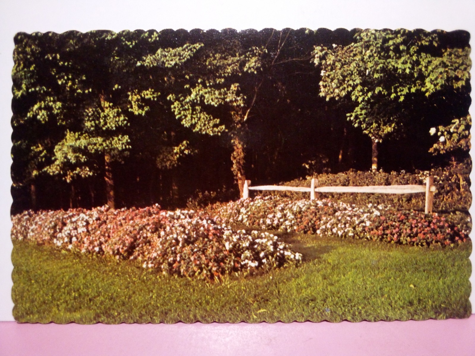 Tamaqua PA Heislers Golfland and Dairy Bar garden 70s Tamaqua PA Heislers Golfland and Dairy Bar garden 70s