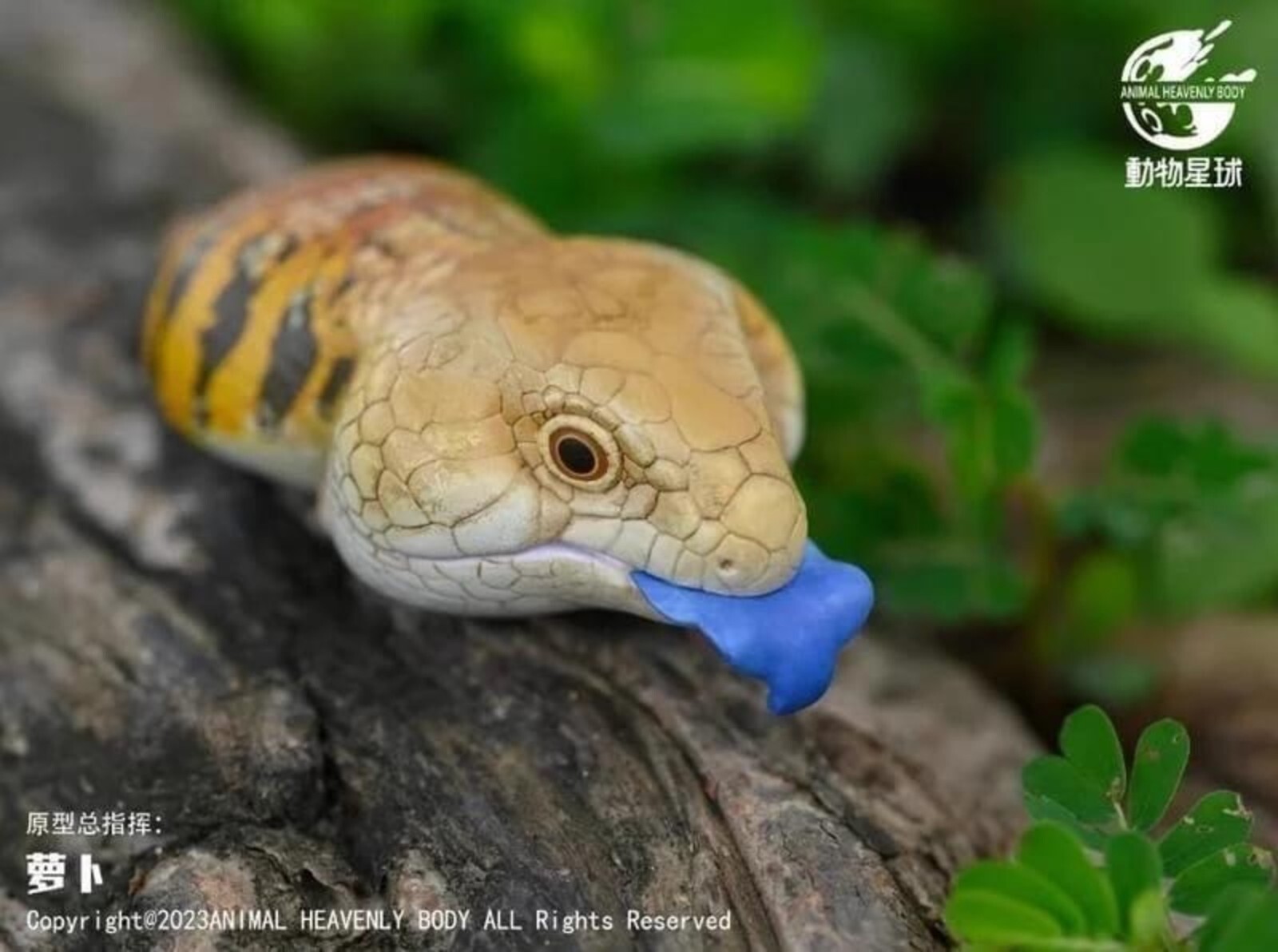 Animal Heavenly Body Tiliqua Scincoides Blue-Tongued Skink Statue Animal Heavenly Body Tiliqua Scincoides Blue-Tongued Skink Statue