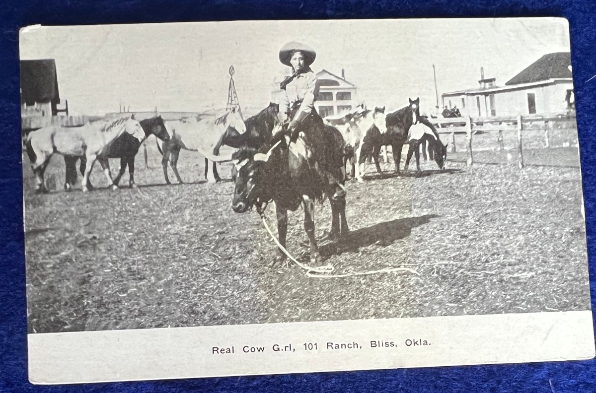 Real Cow Girl 101 Ranch Bliss Oklahoma Photo Postcard Cowgirl on Steer Western Real Cow Girl 101 Ranch Bliss Oklahoma Photo Postcard Cowgirl on Steer Western