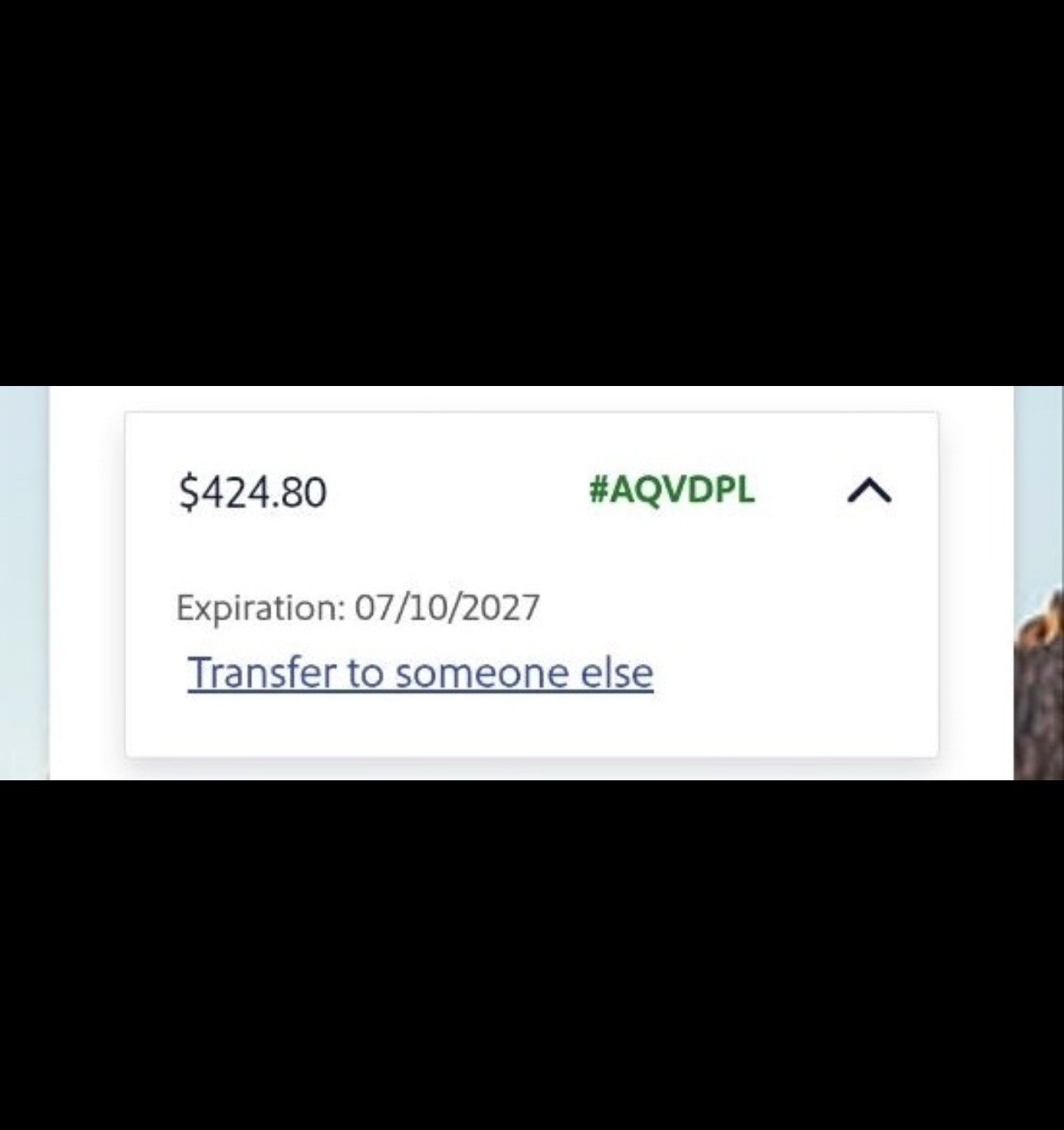Southwest Airlines $424.80 Transferable Flight Credit [DIGITAL DELIVERY]