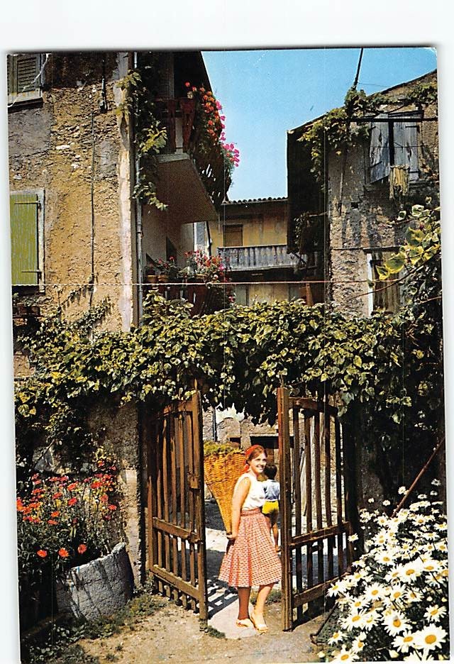 Postcard Typical Rustic View of A Village Postcard Typical Rustic View of A Village