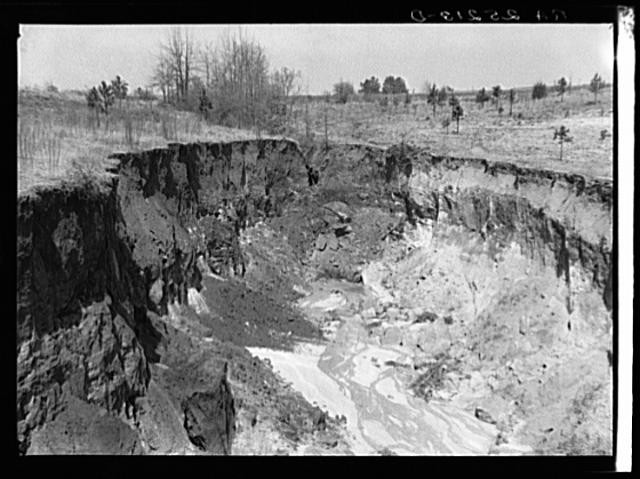 Stewart County Georgia 1937 Erosion Drought Gully Farm Security Administration Stewart County Georgia 1937 Erosion Drought Gully Farm Security Administration