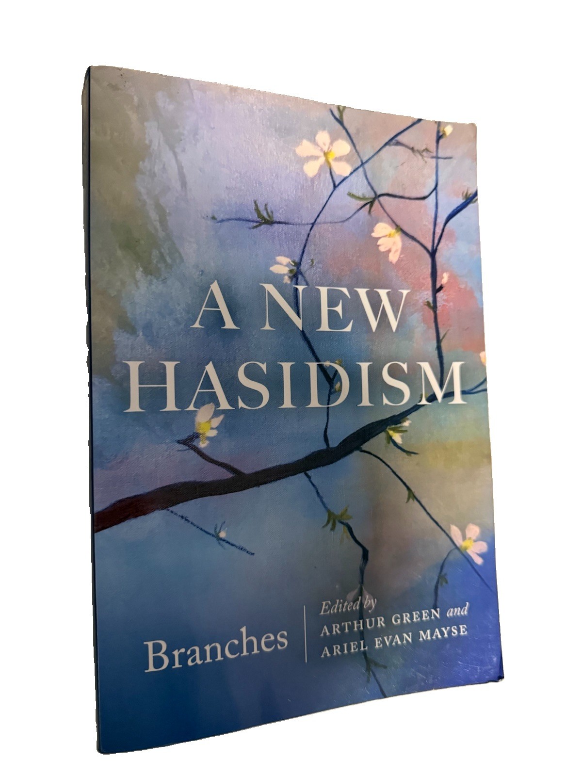 A New Hasidism By Arthur Green NEO HASIDISM JEWISH Mysticism BRESLOV CHABAD Pb